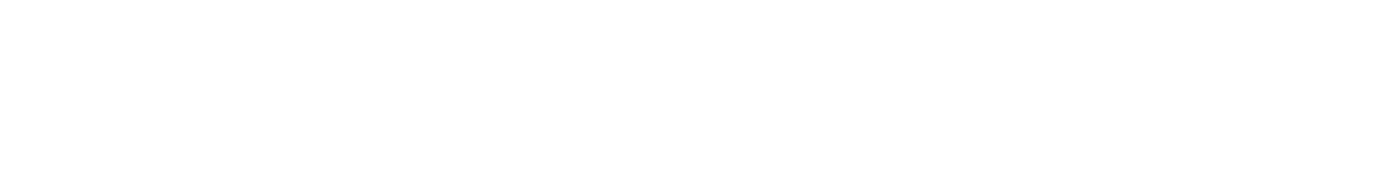 RaionIT